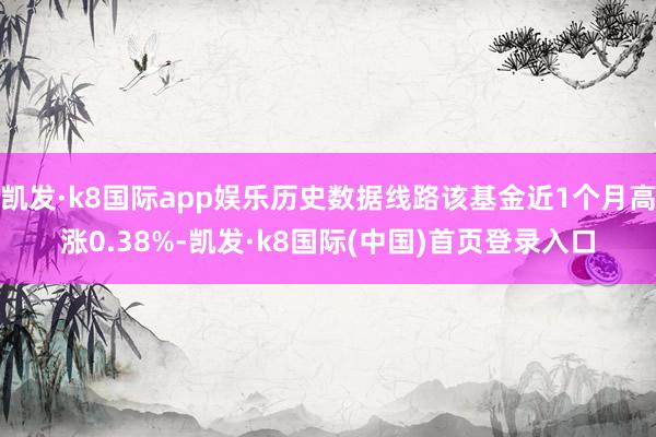 凯发·k8国际app娱乐历史数据线路该基金近1个月高涨0.38%-凯发·k8国际(中国)首页登录入口