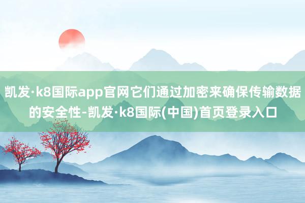 凯发·k8国际app官网它们通过加密来确保传输数据的安全性-凯发·k8国际(中国)首页登录入口