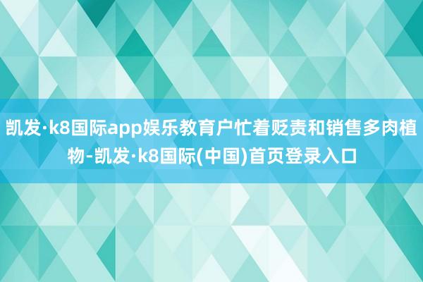 凯发·k8国际app娱乐教育户忙着贬责和销售多肉植物-凯发·k8国际(中国)首页登录入口