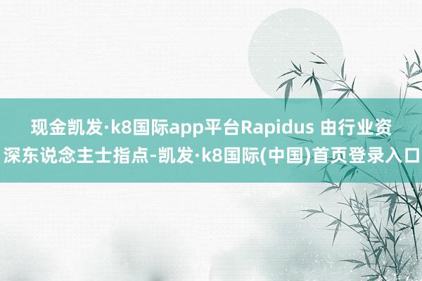 现金凯发·k8国际app平台Rapidus 由行业资深东说念主士指点-凯发·k8国际(中国)首页登录入口