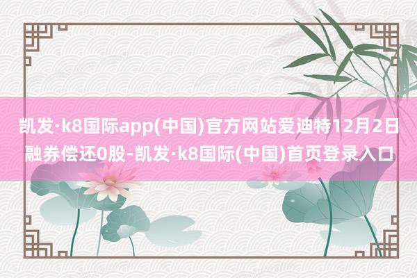 凯发·k8国际app(中国)官方网站爱迪特12月2日融券偿还0股-凯发·k8国际(中国)首页登录入口