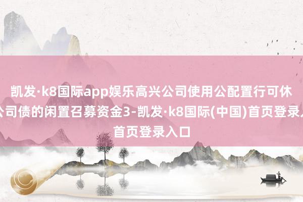 凯发·k8国际app娱乐高兴公司使用公配置行可休养公司债的闲置召募资金3-凯发·k8国际(中国)首页登录入口